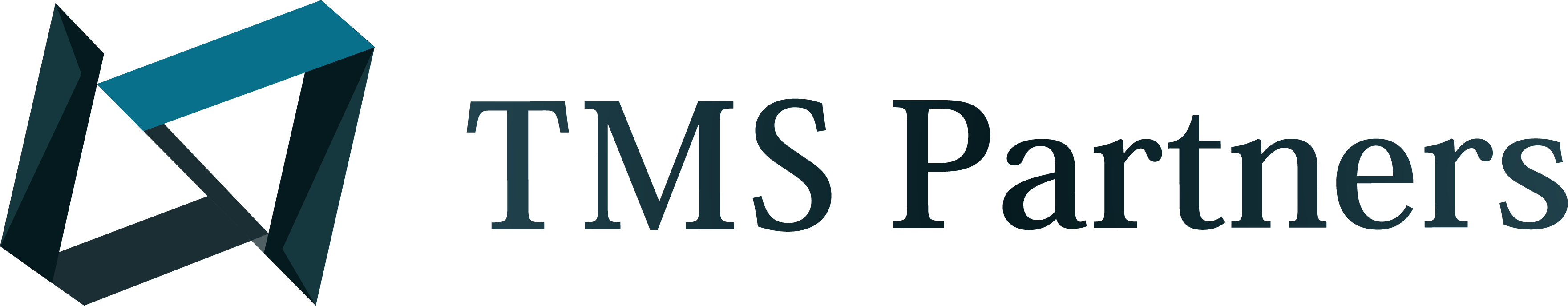 TMS Partners株式会社長期インターン採用ページ